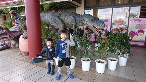 13日・キャンカー旅行①名護パイと美ら海！